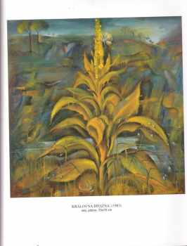 Petr Kmošek: Karel Jan Sigmund