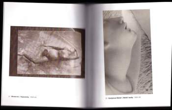 Anna Fárová: Josef Sudek