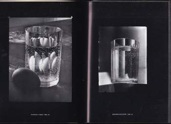 Josef Sudek: Josef Sudek