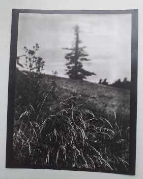 Josef Sudek: Josef Sudek