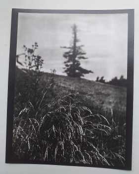 Petr Tausk: Josef Sudek - Edice mezinárodní fotografie, svazek 1