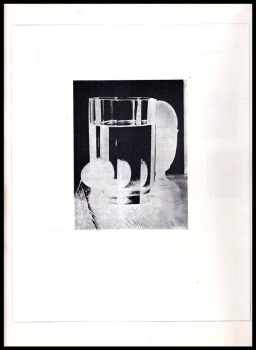 Josef Sudek: Josef Sudek