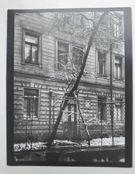 Petr Tausk: Josef Sudek - Edice mezinárodní fotografie, svazek 1