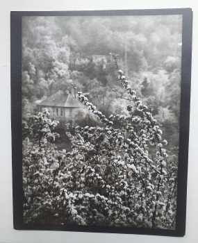 Josef Sudek: Josef Sudek