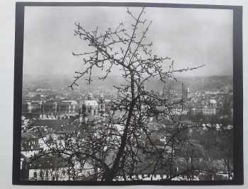 Petr Tausk: Josef Sudek - Edice mezinárodní fotografie, svazek 1