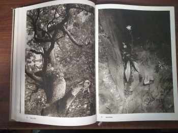 Josef Sudek: Fotografie