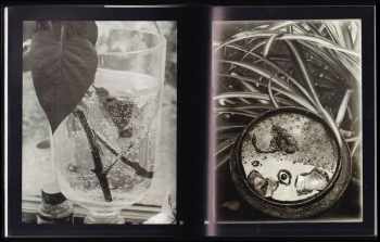 Josef Sudek: Josef Sudek