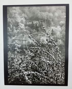 Josef Sudek: Josef Sudek