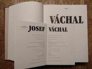 Michal Ajvaz: Josef Váchal