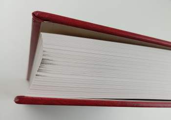 Michal Ajvaz: Josef Váchal