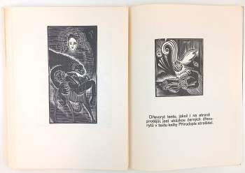 Josef Váchal: Josefa Váchala, dřevorytce, Nový kalendář tolerancý na rok 1923, aneb Rokodník, ve kterém na každý den nějaký bludař neb jiná pozoruhodná a znamenitá osoba a svátek vynajíti se může