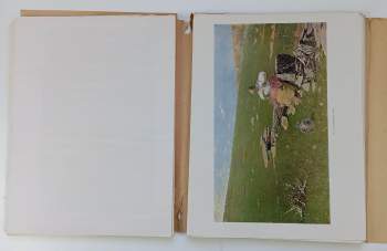 Joža Uprka: Joža Uprka