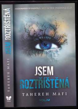 Jsem roztříštěná