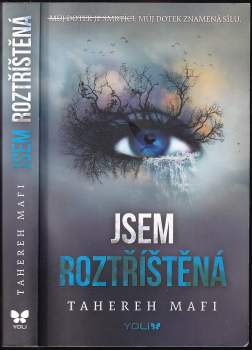 Jsem roztříštěná