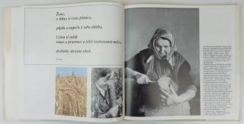 Jsi jako zahrada