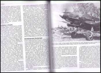 Robert Jackson: Ju 87 Stuka