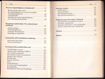 Friedrich-Wilhelm Haack: Jugendreligionen: zwischen Scheinwelt, Ideologie und Kommerz