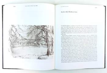 Julius Mařák: Julius Mařák a jeho žáci