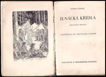 Karel Černý: Junácká křídla