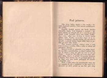 Eduard Štorch: Junáckou stezkou