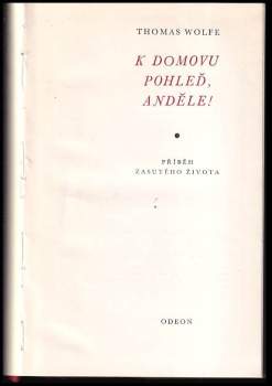 Thomas Clayton Wolfe: K domovu pohleď, anděle!