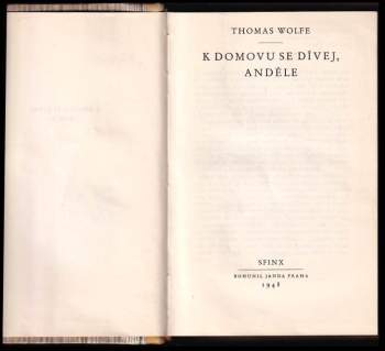 Thomas Clayton Wolfe: K domovu se dívej, anděle
