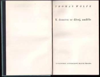Thomas Clayton Wolfe: K domovu se dívej, anděle