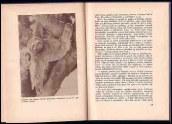 Jiří Baum: K neznámým břehům Brasilie