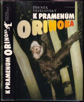 K pramenům Orinoka