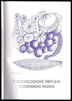 K sociologické reflexi moderního rizika