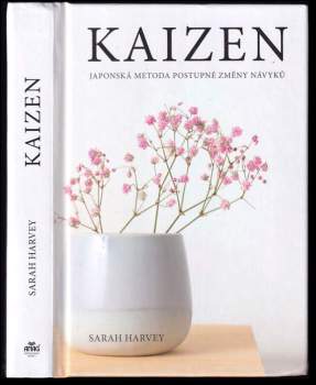 Sarah N Harvey: Kaizen