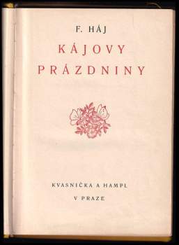 Felix Háj: Kájovy prázdniny