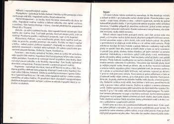 Miloš Pavlín: Kaktusářův rok