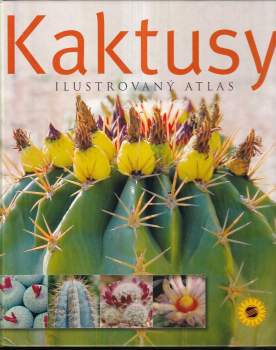Kaktusy