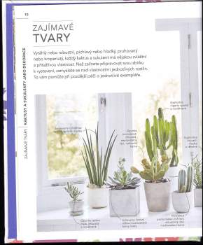 Zia Allaway: Kaktusy a sukulenty v praxi