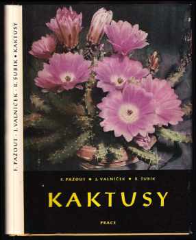 Kaktusy