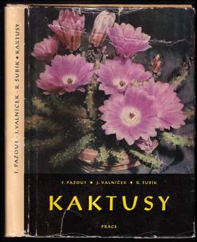 Kaktusy