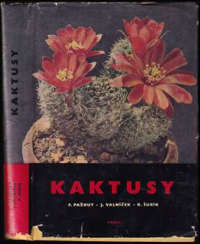 Kaktusy