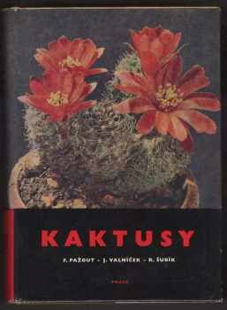 Kaktusy