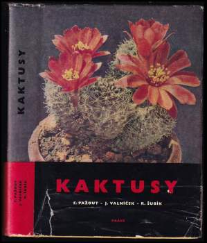 Kaktusy