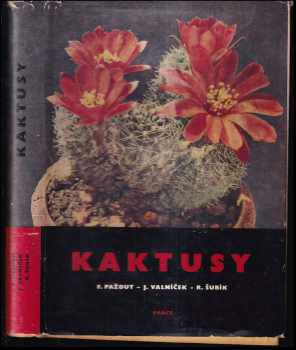 Kaktusy - Rudolf Subík, František Pažout, Jan Valníček (1965, Práce) - ID: 777680