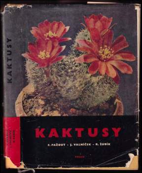 Kaktusy