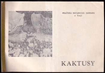 Kaktusy