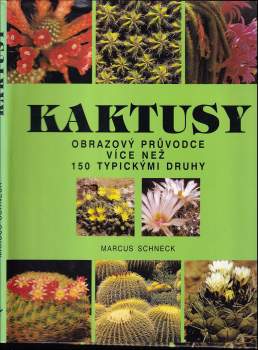 Kaktusy