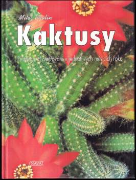 Kaktusy