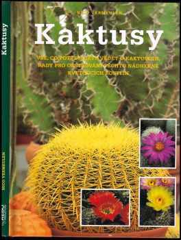 Kaktusy