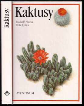 Kaktusy
