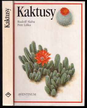 Kaktusy