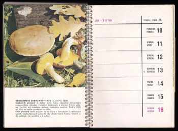 Aurel Dermek: Kalendář 1974 - Houby kolem nás