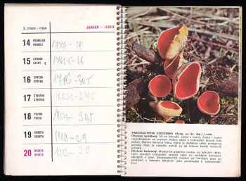 Aurel Dermek: Kalendář 1974 - Houby kolem nás